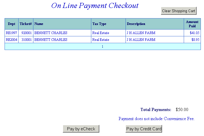 Payment options example screen